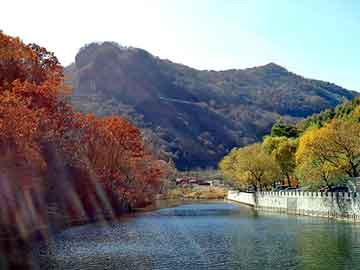 备案实时查询系统上线，芜湖钟点工价格透明化展现新篇章