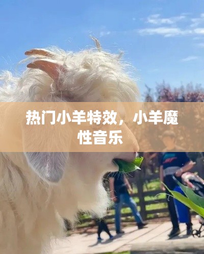 热门小羊特效，小羊魔性音乐 