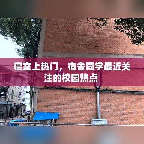 羊肠鸟道 第4页