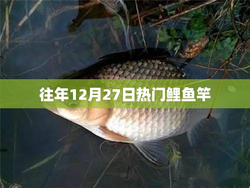 往年12月27日热门鲤鱼竿推荐