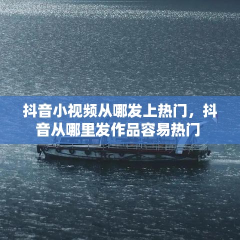 衣不兼彩 第5页