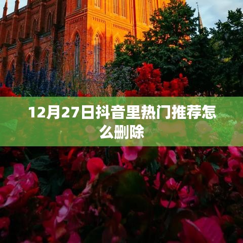 抖音热门推荐删除方法解析，操作指南与注意事项
