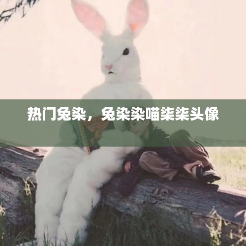 热门兔染,兔染染喵柒柒头像
