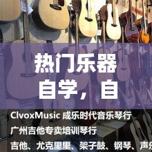 热门乐器自学，自学乐器什么好学 