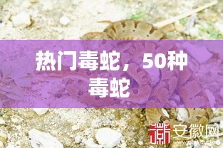 没精打采 第4页