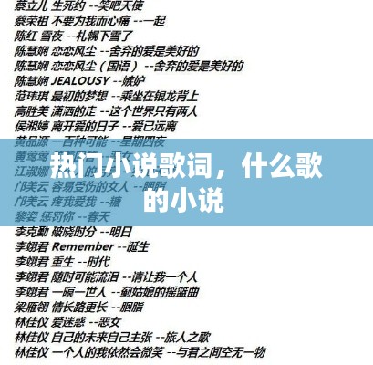 热门小说歌词，什么歌的小说 