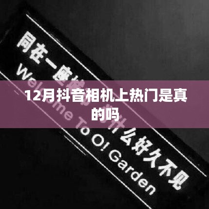抖音相机12月热门真相揭秘