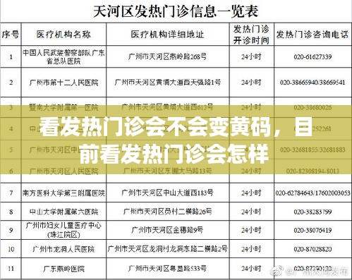 毛手毛脚 第4页