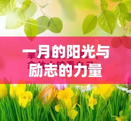 一月阳光洒满心灵，励志力量助燃梦想。