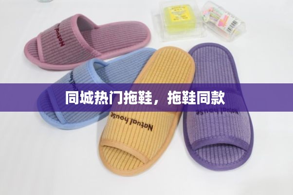 笼中之鸟 第4页