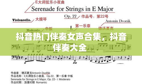 抖音热门伴奏女声合集，抖音伴奏大全 