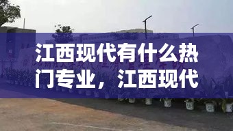 江西现代有什么热门专业，江西现代学院热门专业 