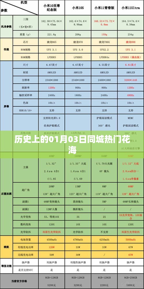 『历史上的今天，一月三日同城花海盛放』