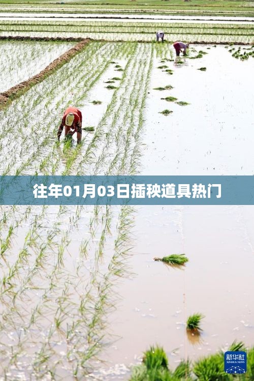 往年插秧道具热门概览