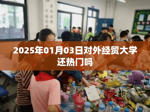 对外经贸大学热门程度展望，2025年展望与趋势分析