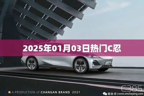 『2025年元旦后C忍新势力』