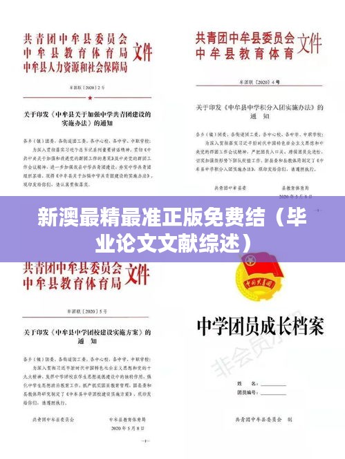 新澳最精最准正版免费结（毕业论文文献综述）
