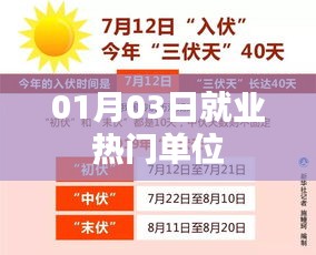 就业热门单位盘点，最新动态及趋势分析