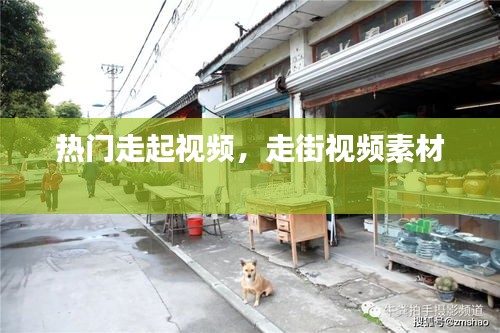 热门走起视频，走街视频素材 