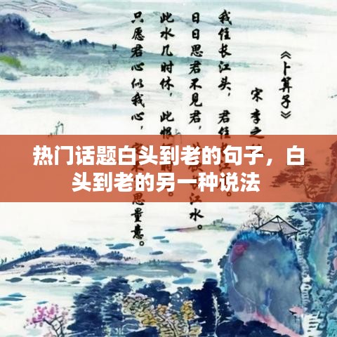 热门话题白头到老的句子，白头到老的另一种说法 