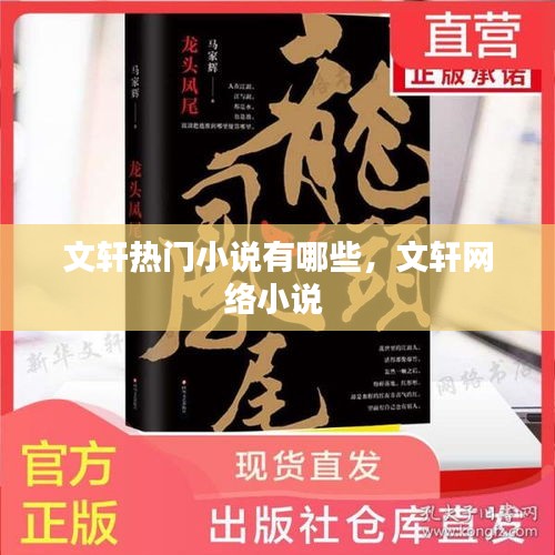 文轩热门小说有哪些，文轩网络小说 