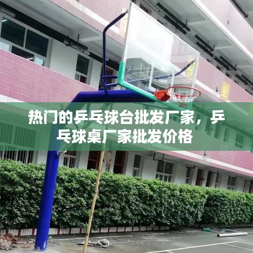 热门的乒乓球台批发厂家，乒乓球桌厂家批发价格 