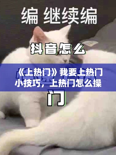 《上热门》我要上热门小技巧，上热门怎么操作 