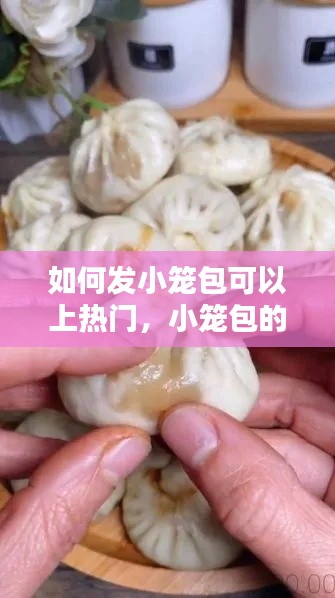 如何发小笼包可以上热门，小笼包的包发视频 
