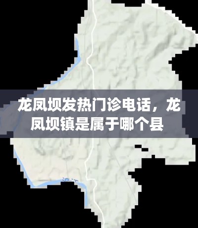 龙凤坝发热门诊电话，龙凤坝镇是属于哪个县 
