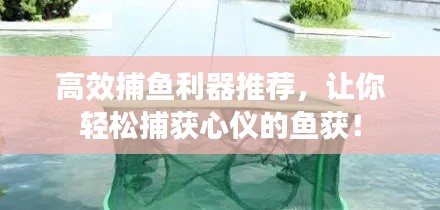 紫色蛙声 第4页