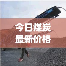 今日煤炭最新价格走势，主焦煤市场动态速递