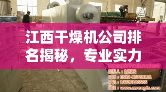 江西干燥机公司排名揭秘，专业实力与行业影响力解析