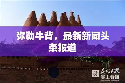展翅欲飞 第3页