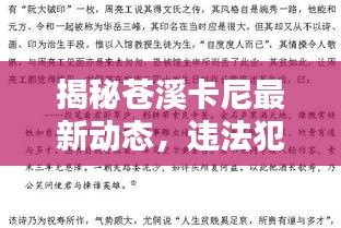 揭秘苍溪卡尼最新动态，违法犯罪问题背后的真相浮出水面