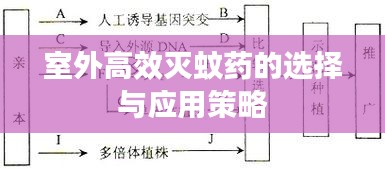 诚心诚意 第4页