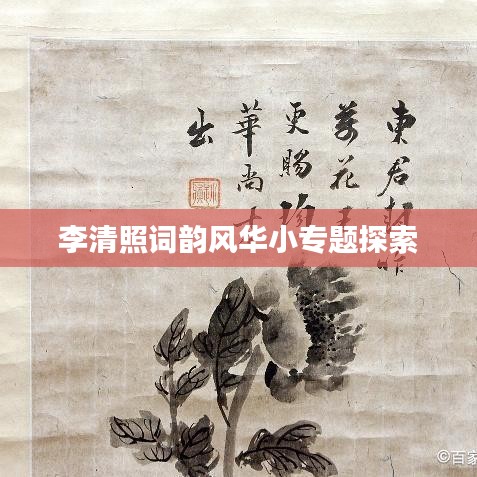李清照词韵风华小专题探索