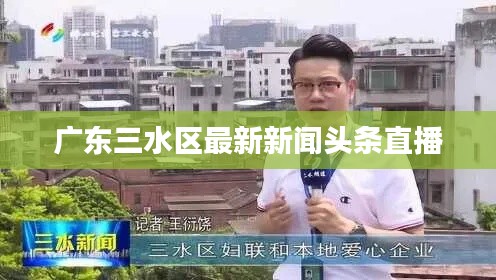 广东三水区最新新闻头条直播