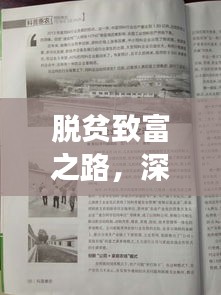 脱贫致富之路，深度探索成功的路径与启示