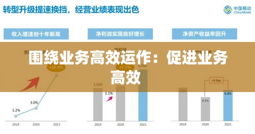 围绕业务高效运作：促进业务高效 