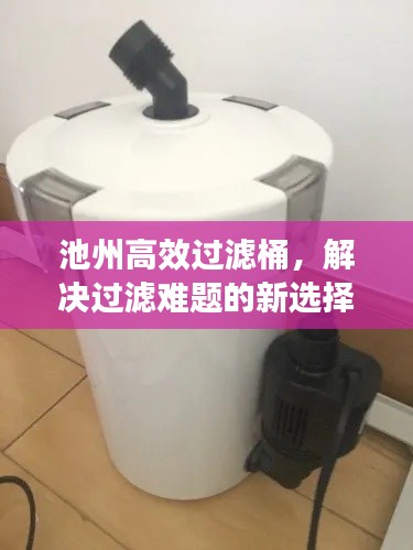 无拘无束 第4页