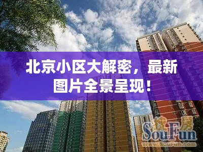 窗明几净 第4页