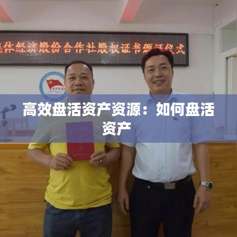 高效盘活资产资源：如何盘活资产 