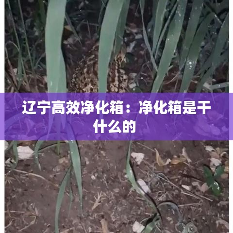 犯而不校 第4页