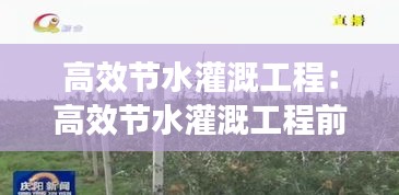 一花独放 第3页