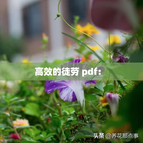 高效的徒劳 pdf： 
