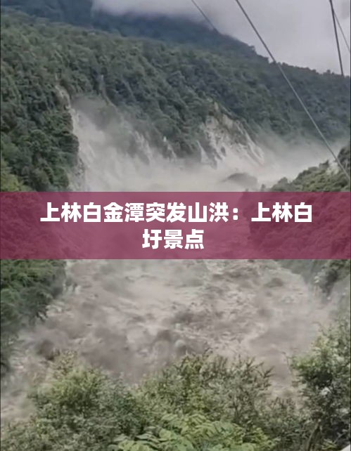 花枝招展 第3页