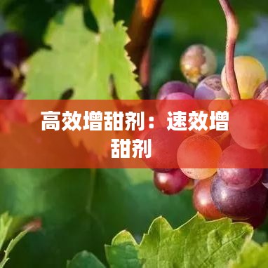 井蛙之见 第3页