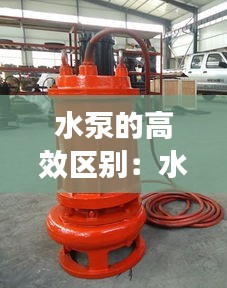 望其项背 第4页