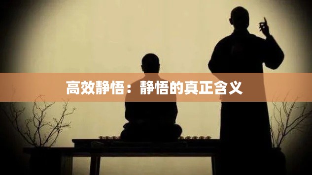 高效静悟：静悟的真正含义 