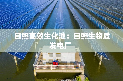 日照高效生化池：日照生物质发电厂 